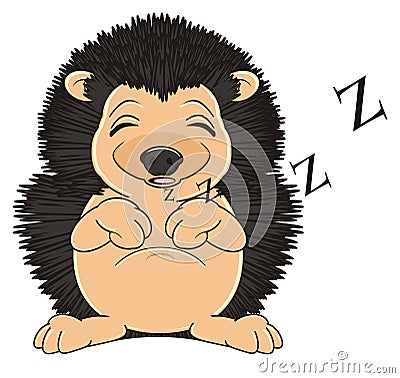 Sleeping Hedgehog and signs z Stock Photo