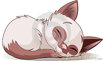 Sleeping kitten Vector Illustration