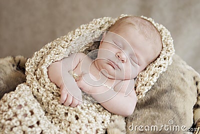 Sleeping Newborn Baby in Cocoon Stock Photo