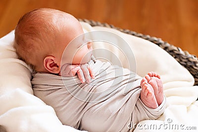 Sleeping newborn baby in the gray basket. Small hands and feet of the child. Baby wrapping Stock Photo