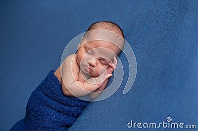 Swaddled, Sleeping Newborn Baby Boy Stock Photo