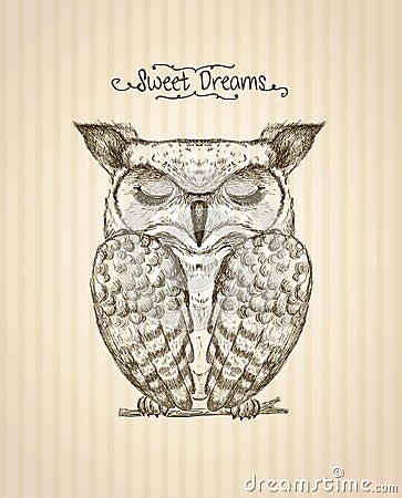 Sleeping owl hand drawn graphic illustration, front view Vector Illustration