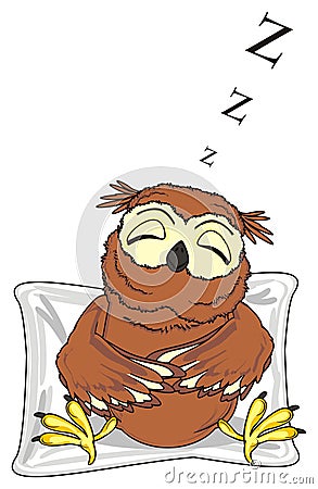 Sleeping owl and sift object Stock Photo