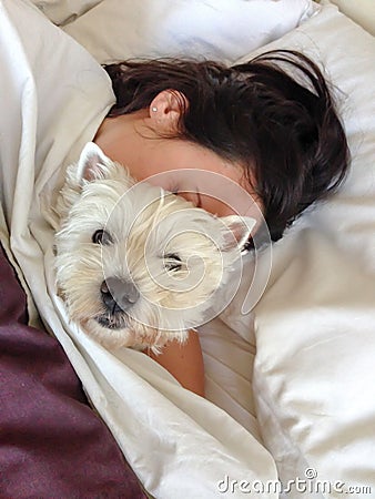 Sleeping with pets: woman cuddling west highland terrier westie Stock Photo