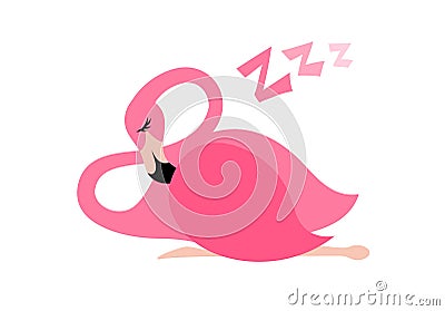 Sleeping pink flamingo vector illustration. Vector Illustration