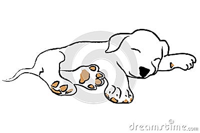 Sleeping puppy Vector Illustration