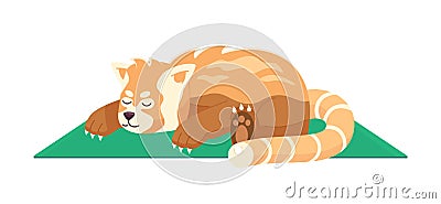 Sleeping red panda semi flat color vector character Vector Illustration