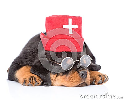 Sleeping rottweiler puppy dog wearing nurses medical hat. isolated on white Stock Photo