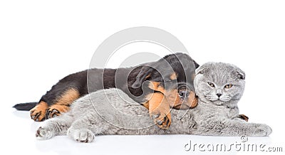 Sleeping rottweiler puppy embracing gray cat. Isolated on white background Stock Photo