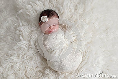 Swaddled, Sleeping Newborn Baby Girl Stock Photo