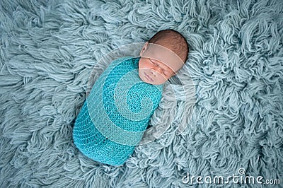 Swaddled, Sleeping, Newborn Baby Boy Stock Photo