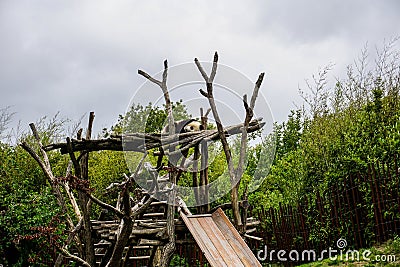 Sleepy panda sleeping on his wooden bed Stock Photo