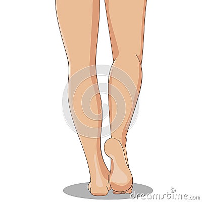 Slender female legs, barefoot, back view. Feminine concept, design element for spa, medical centers, cosmetic products. Vector Illustration