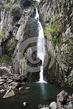 A slender waterfall Stock Photo