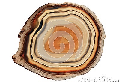 Slice of an agate gem stone Stock Photo