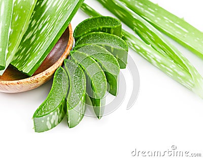 Slice Aloe Vera. Stock Photo