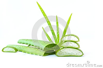 Slice Aloe Vera on white background Stock Photo