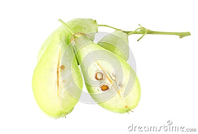 Slice Bilimbi fruits Stock Photo