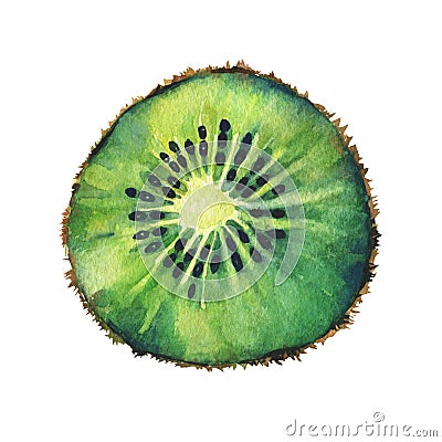 Slice of fresh kiwi fruit. Stock Photo