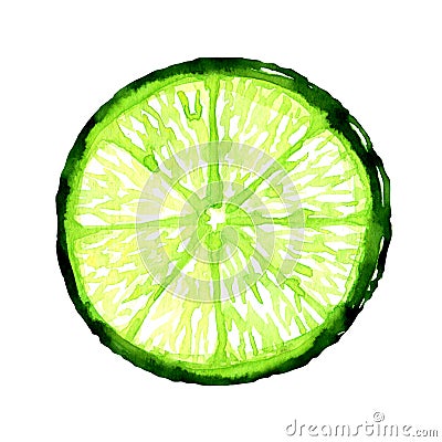 Slice of fresh lime on white background Stock Photo