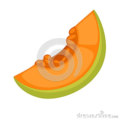 Slice of fresh melon Vector Illustration