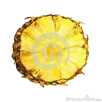 Slice of fresh pineapple. Stock Photo