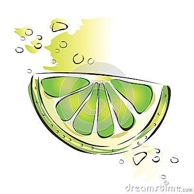Slice of juicy green lime. Vector illustration, on white. Vector Illustration
