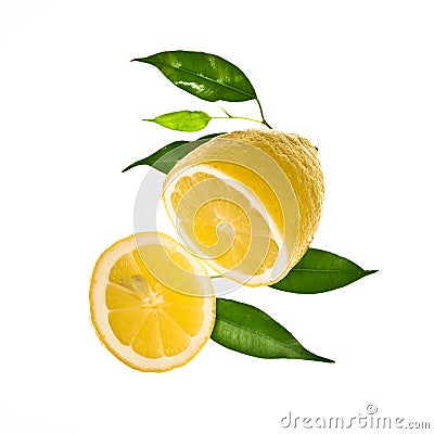 Slice of lemon with leaves Stock Photo