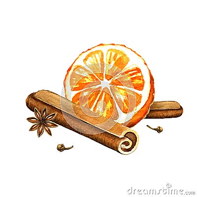 Slice of orange, cinnamon and star anise. Cartoon Illustration