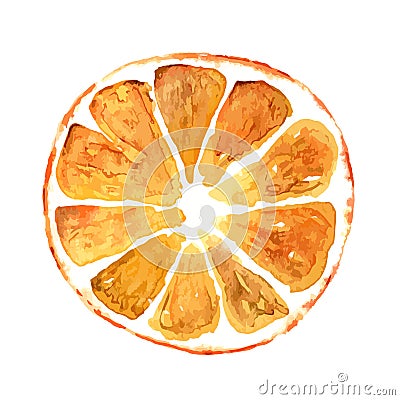 Slice of orange isolated on white background Vector Illustration