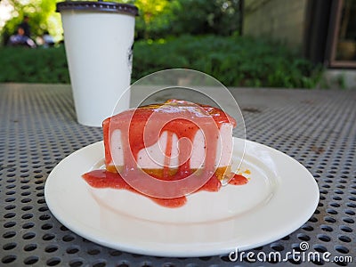 Slice of plain cheesecake with cranberry sauce on white plate decorated Stock Photo