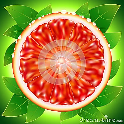 Slice ripe grapefruit with drops water Vector Illustration