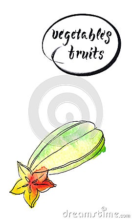 Slice ripe star fruit carambola or star apple star fruit, watercolor vector illustration Vector Illustration
