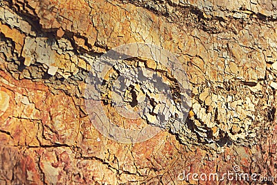 Slice of stone rocks geological background Stock Photo