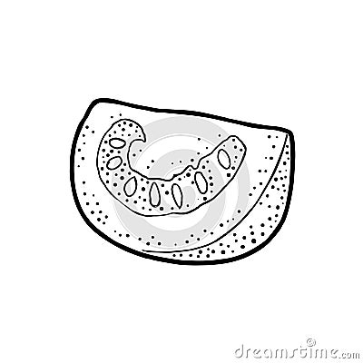 Slice tomato. Vector engraved illustration isolated on white background. Vector Illustration