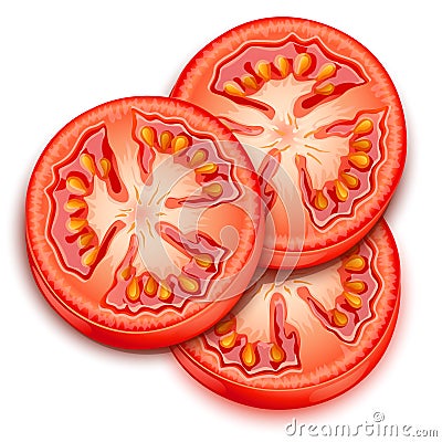 A slice of tomato-vector Vector Illustration