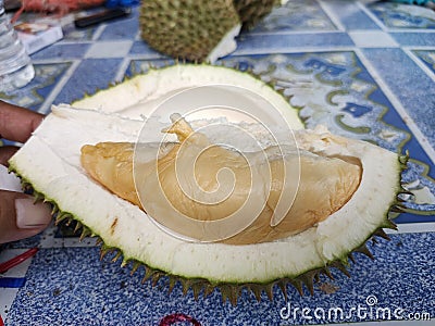 A slice of 'Udang Merah' durian. Stock Photo