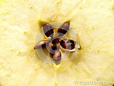 Sliced apple texture Stock Photo
