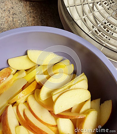 Sliced apples and dehydrator Stock Photo