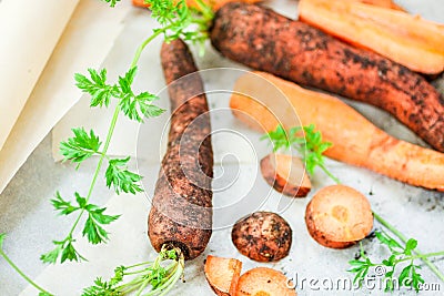 Sliced carrot Stock Photo