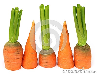 Sliced carrot Stock Photo