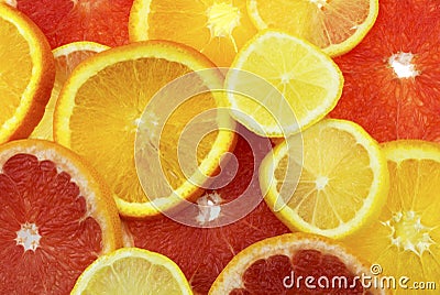 Sliced citrus fruits Stock Photo