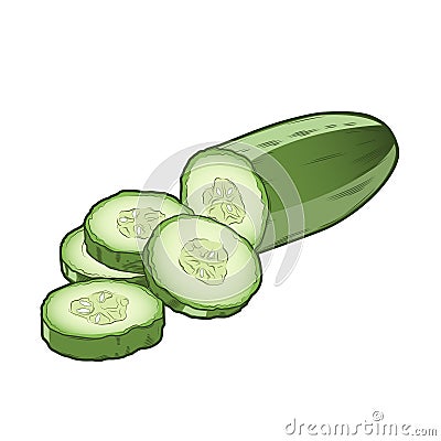 Sliced cucumber isolated on a white background. Co Vector Illustration