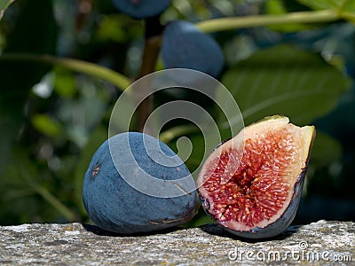 Sliced Fig Stock Photo