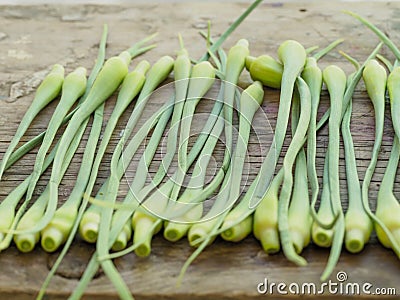 Sliced garlic sticks are very tender and delicious Stock Photo