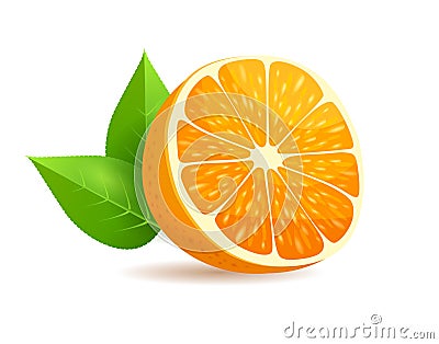 Sliced in Half Orange with Leaves Realistic Vector Vector Illustration