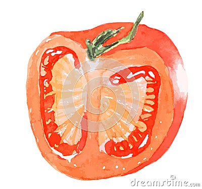 Sliced juicy red tomato - watercolor painting Cartoon Illustration