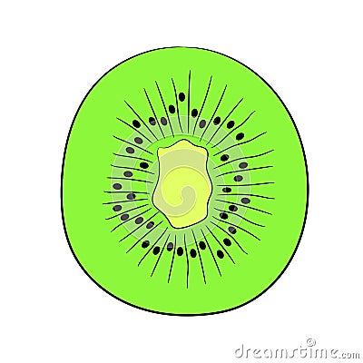 Sliced kiwi fruit halves on white of illustrations Cartoon Illustration