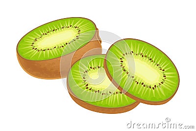 Sliced Kiwifruit or Kiwi as Edible Berry with Fibrous Brown Skin and Green Flesh Vector Illustration Vector Illustration