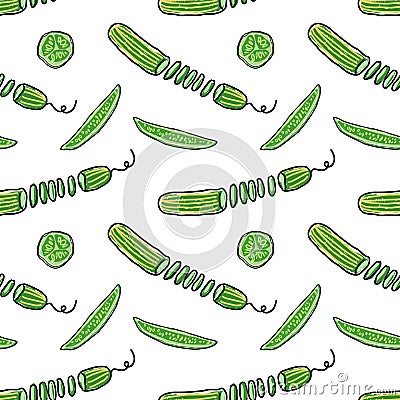 Sliced long striped cucumbers across Vector Illustration